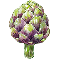 Artichoke