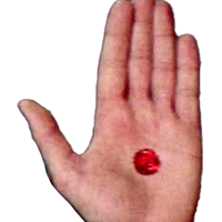 Logans Run