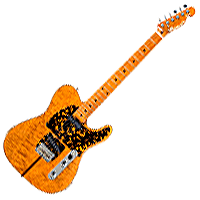 Mad Cat Guitar