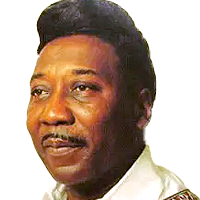 Muddy Waters Blues